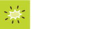 Kiwi Creative logo