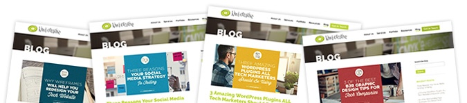 Sign Up for Kiwi Insights, Tips + Tools