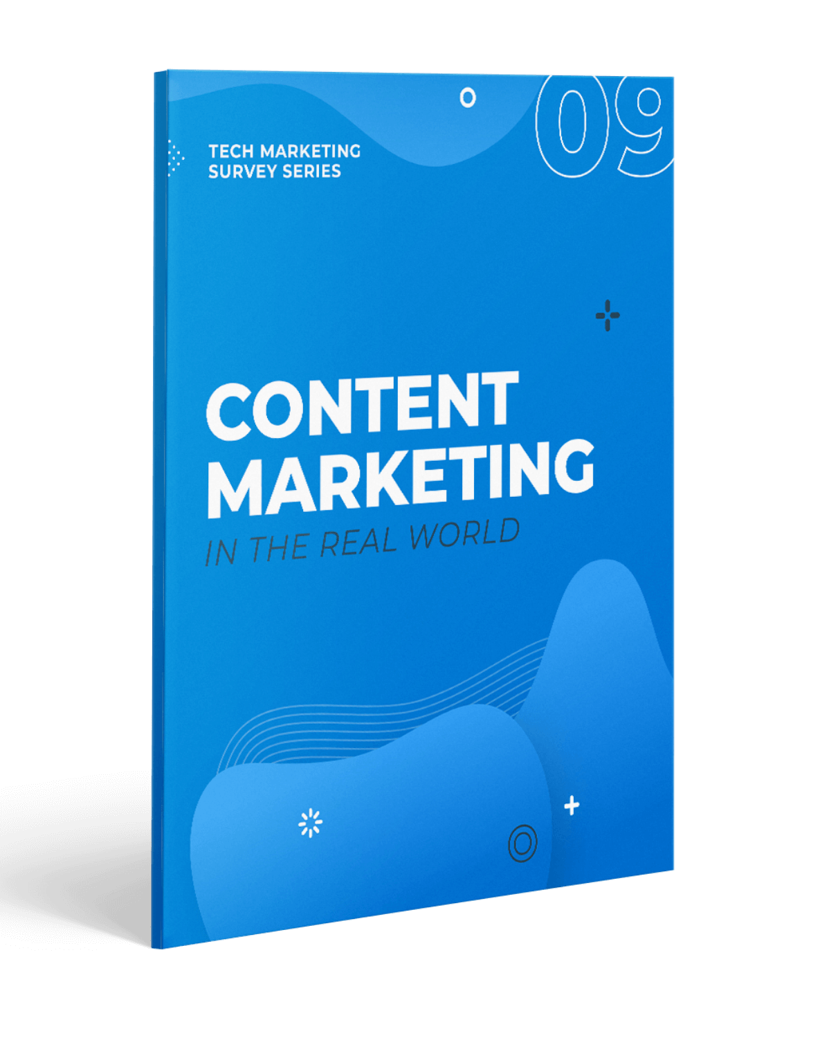 Content Marketing in the Real World cover
