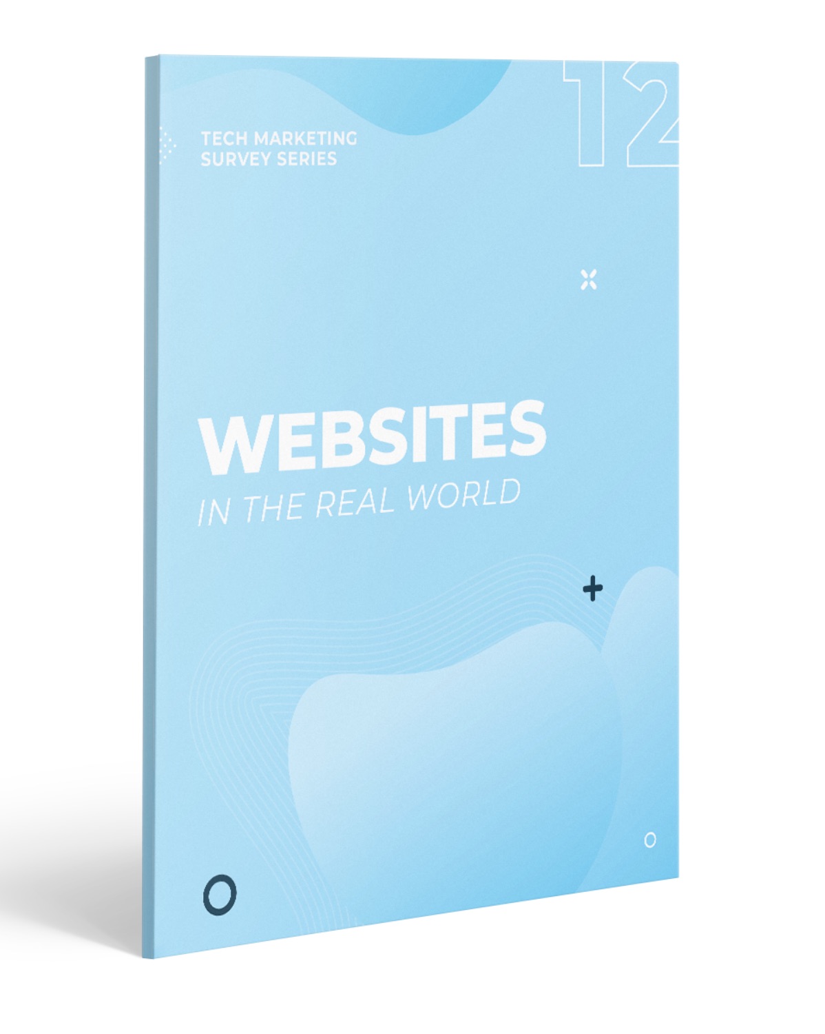 websites in the real world report cover
